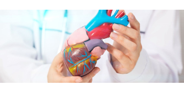 Reumatism cardiac: ce este si cum apare