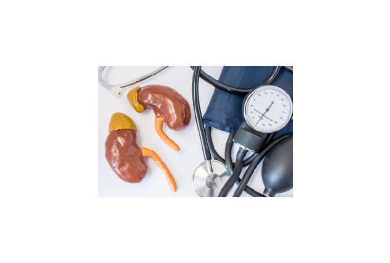Relatia dintre tensiunea arteriala si rinichi: implicari si complicatii