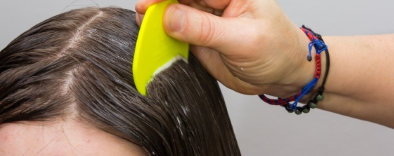 Cum recunosti pediculoza la copii si adulti si ce sa faci imediat