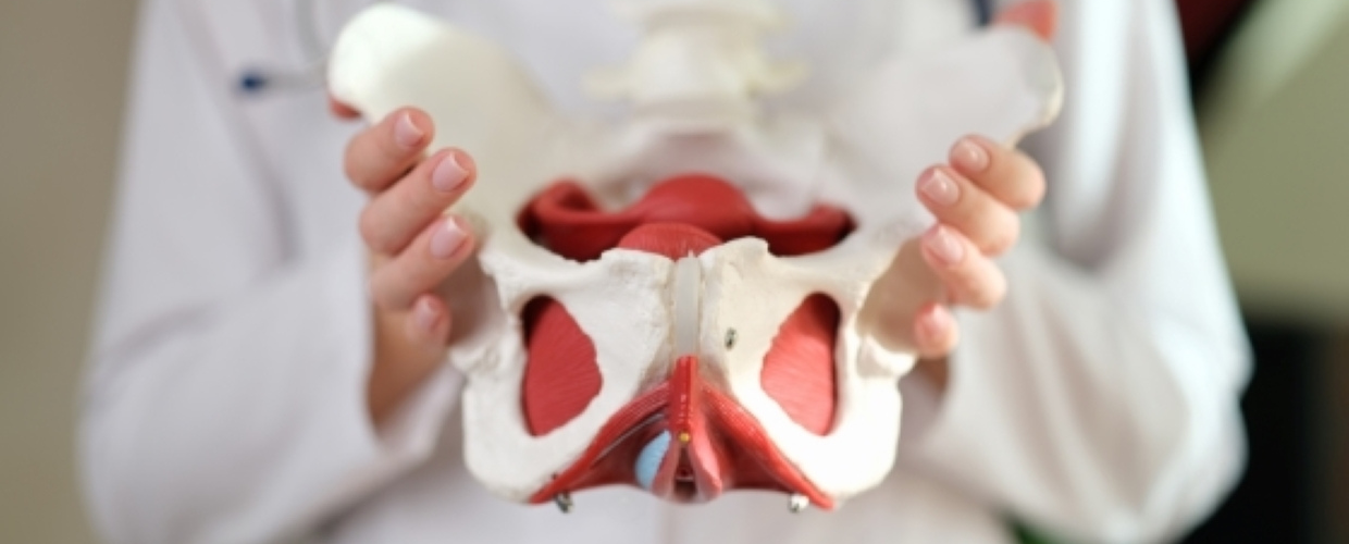 Necroza avasculara de cap femural: ce este, simptome timpurii, tratament