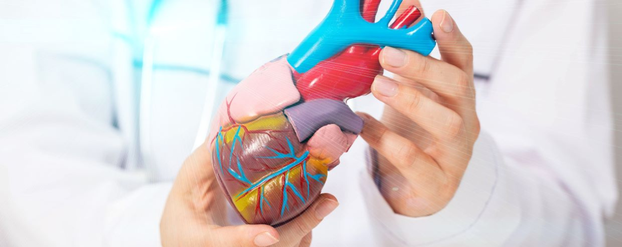 Reumatism cardiac: ce este si cum apare